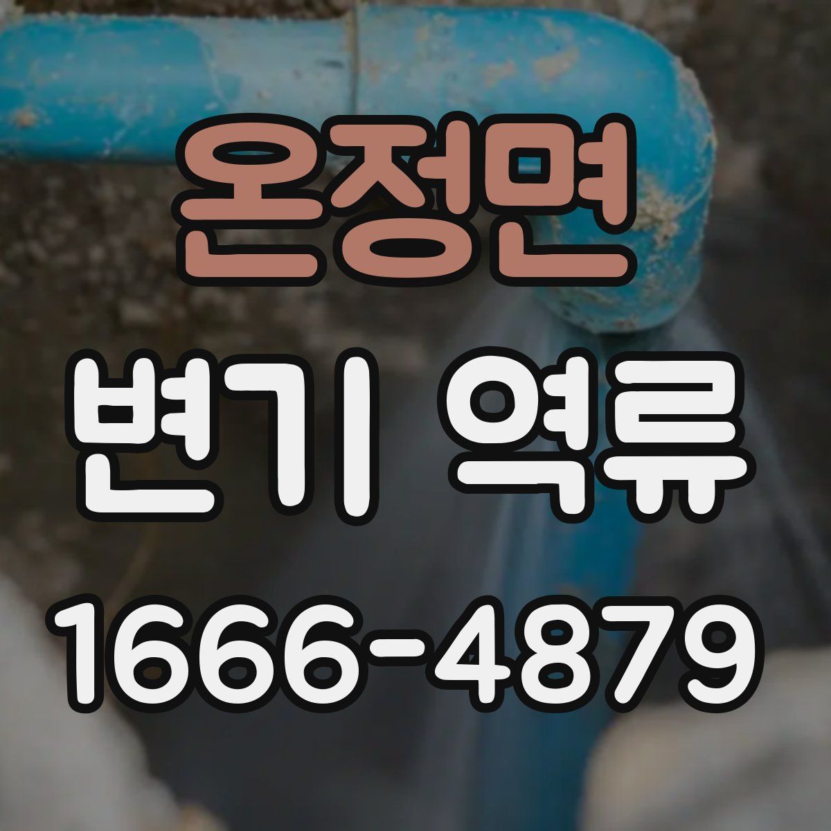 온정면 변기 역류