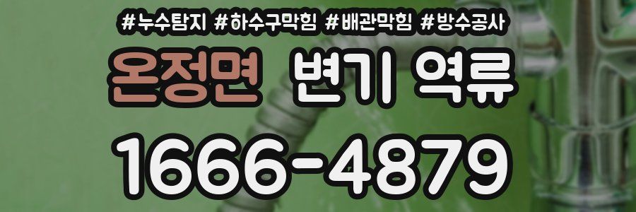 온정면 변기 역류