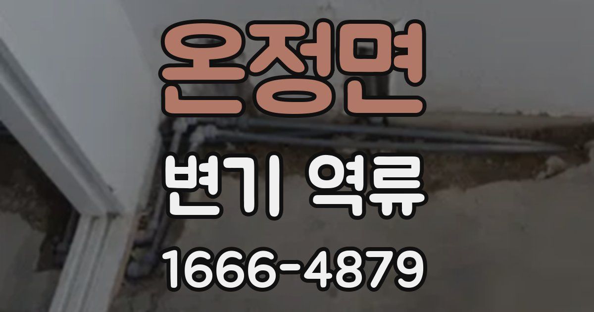 온정면 변기 역류