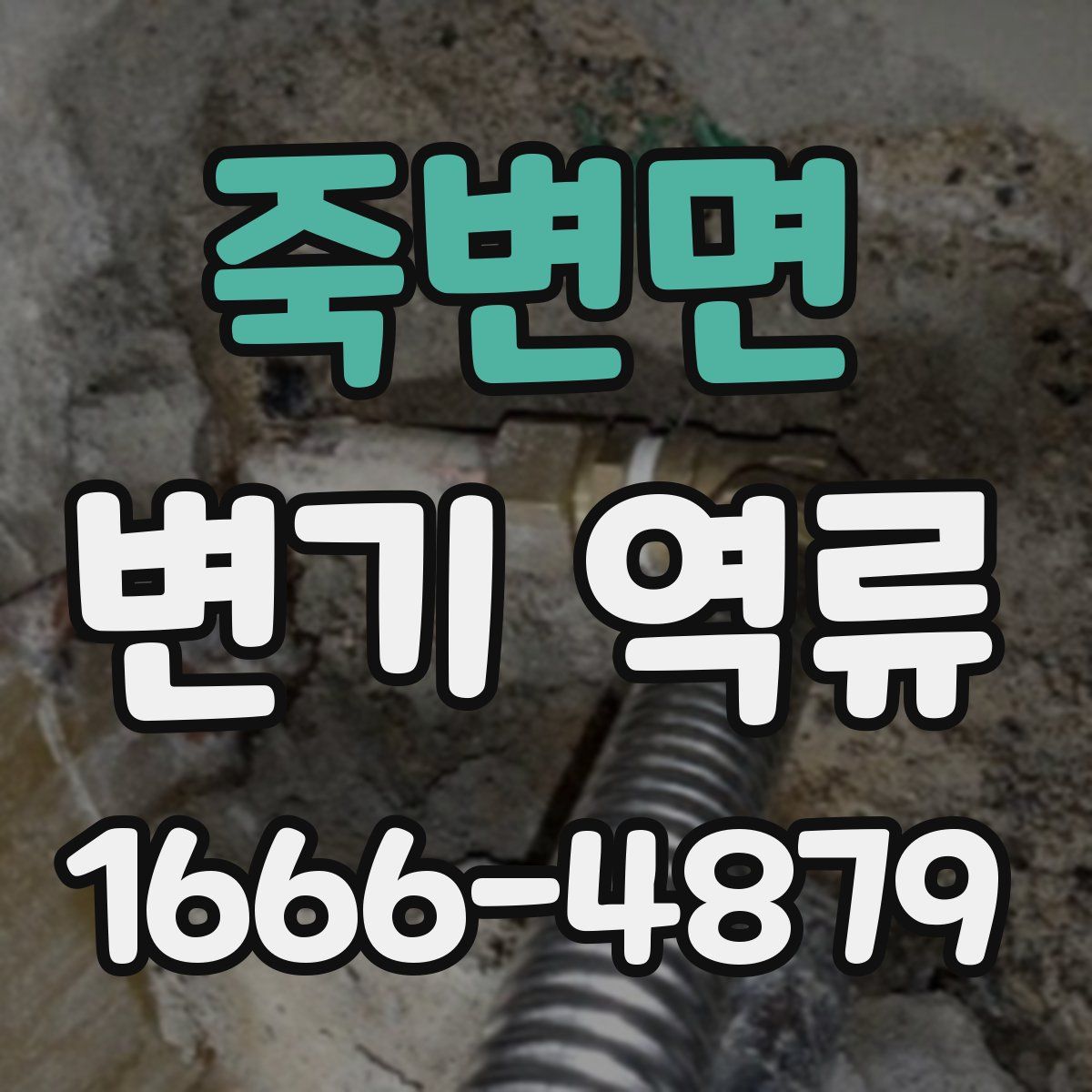 죽변면 변기 역류