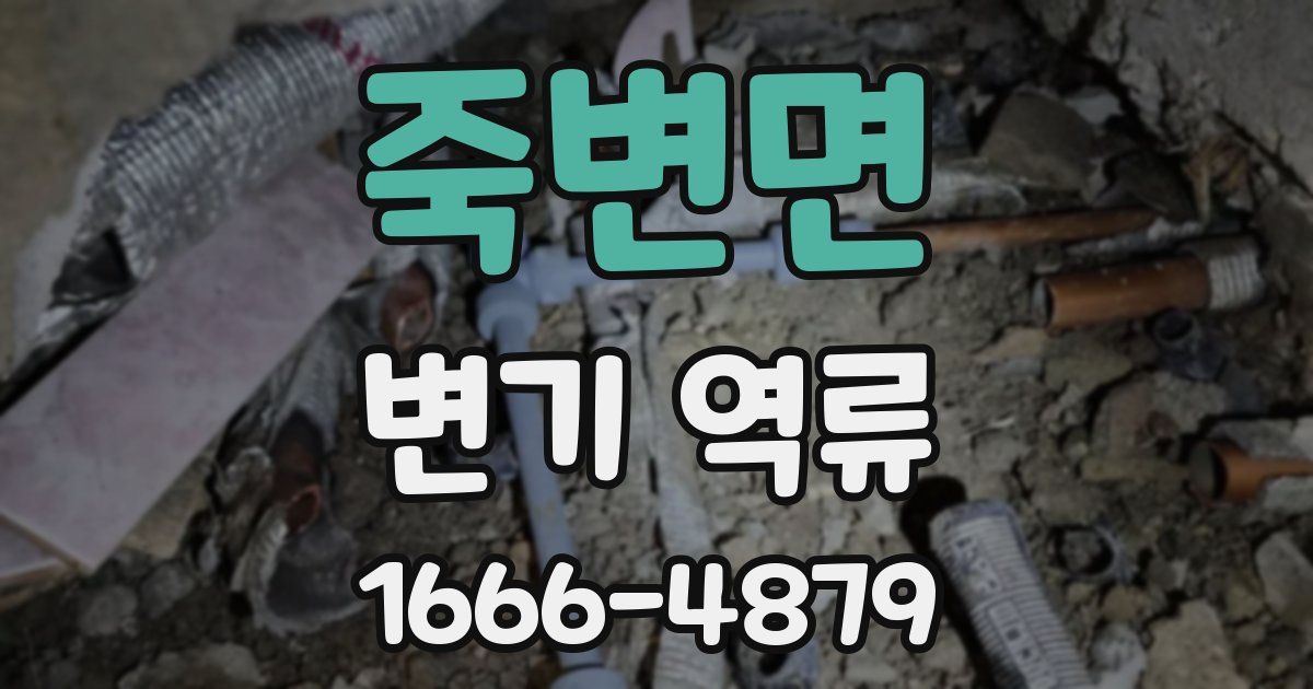 죽변면 변기 역류
