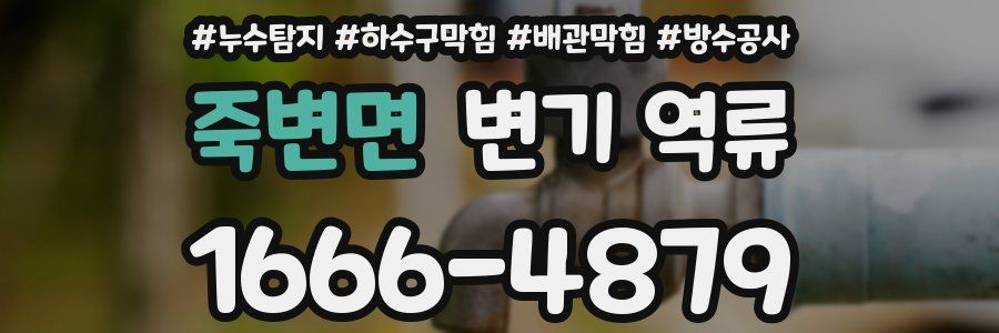 죽변면 변기 역류