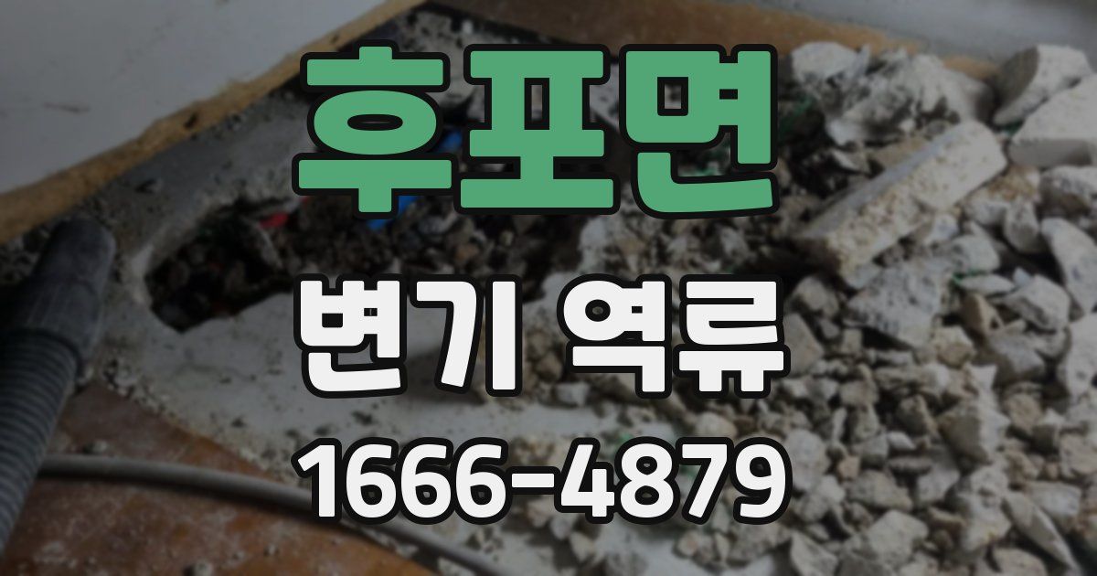 후포면 변기 역류