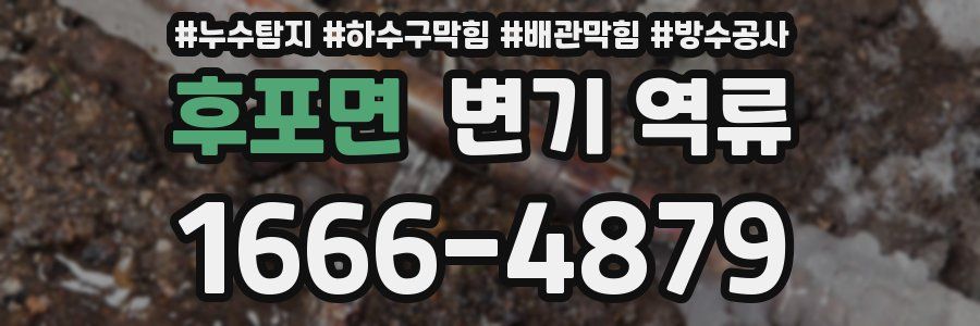 후포면 변기 역류