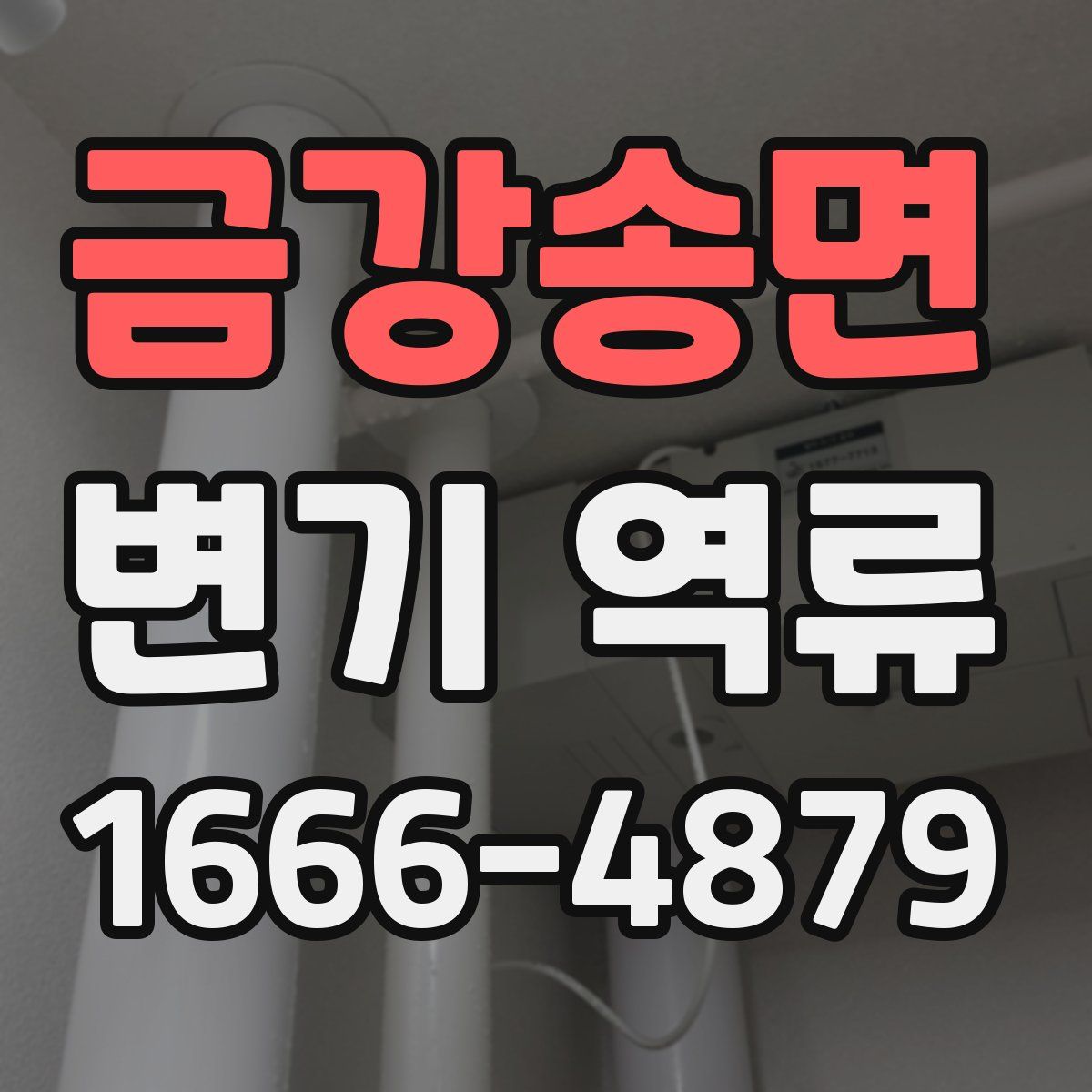 금강송면 변기 역류