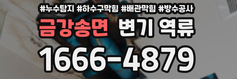 금강송면 변기 역류
