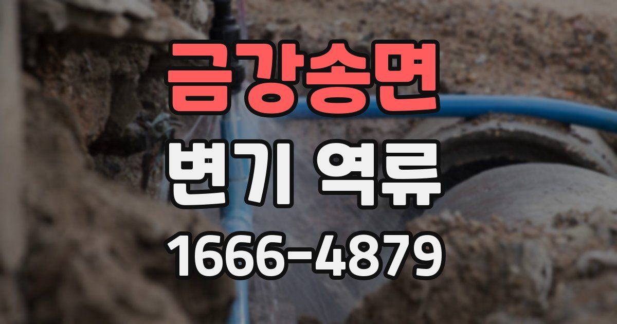금강송면 변기 역류