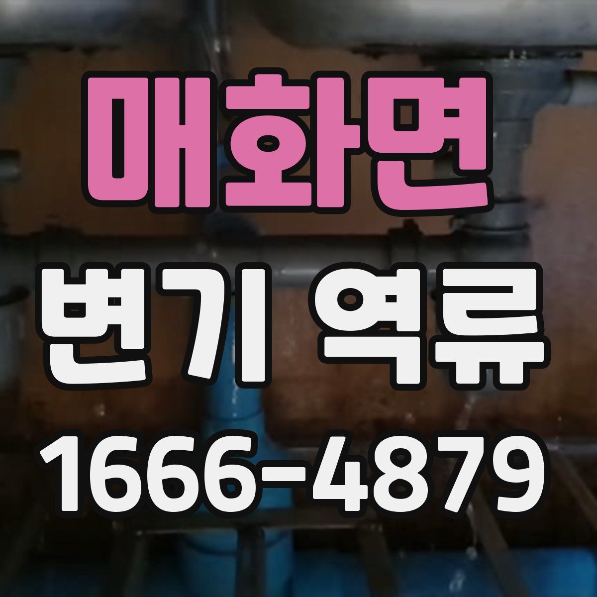 매화면 변기 역류