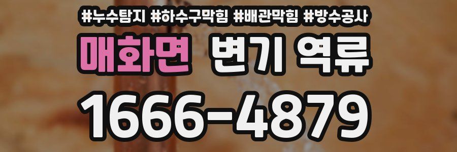 매화면 변기 역류