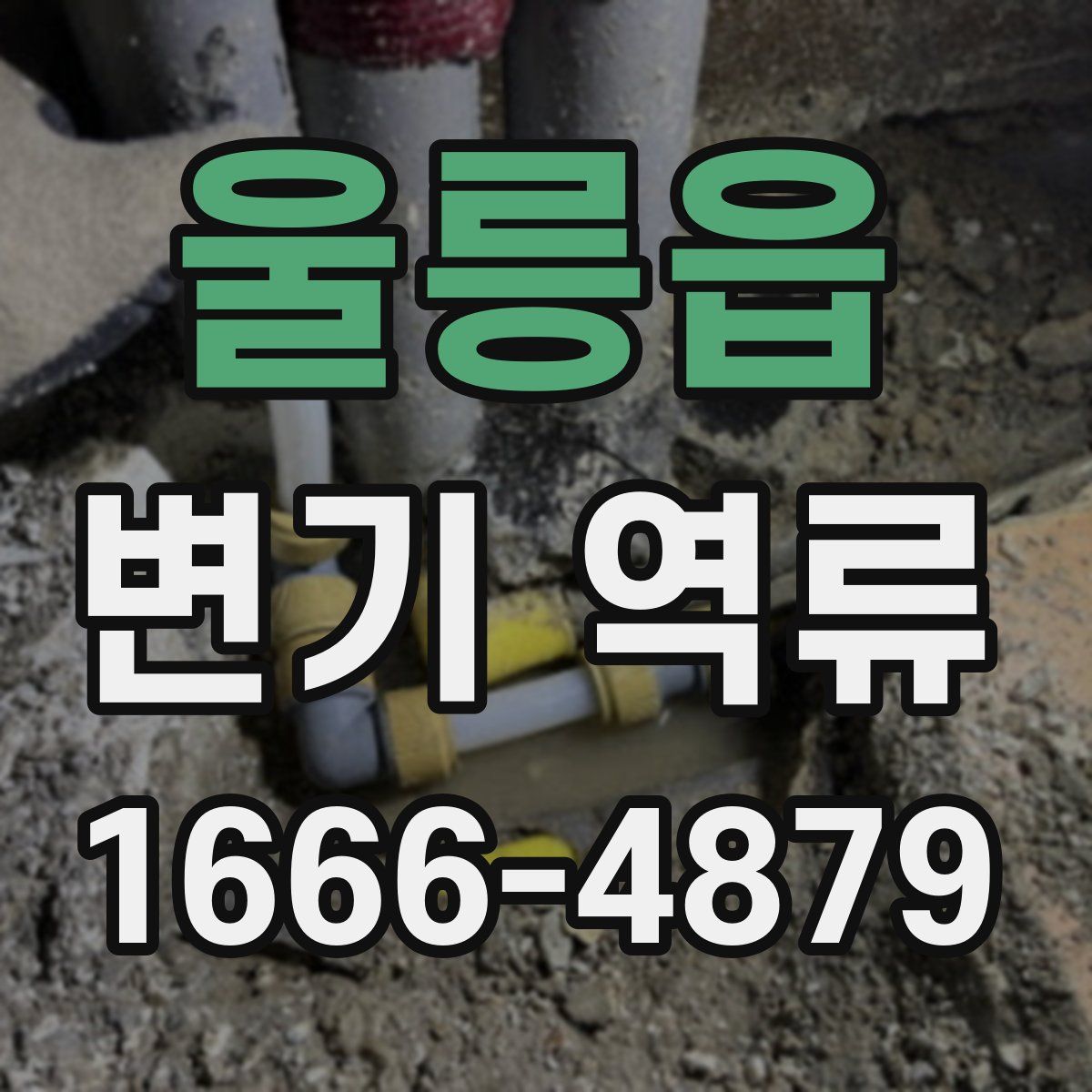 울릉읍 변기 역류