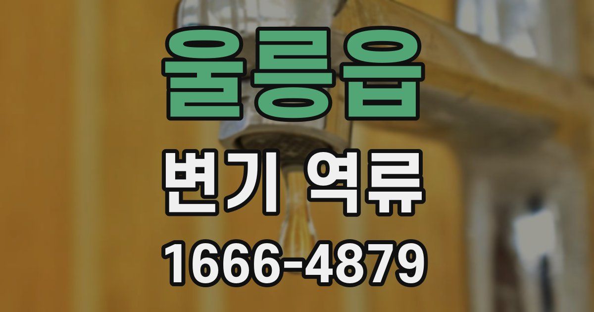 울릉읍 변기 역류