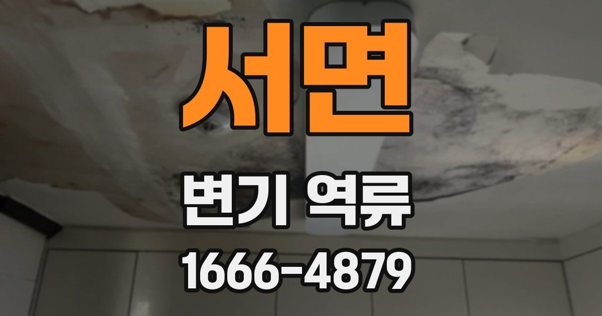 서면 변기 역류