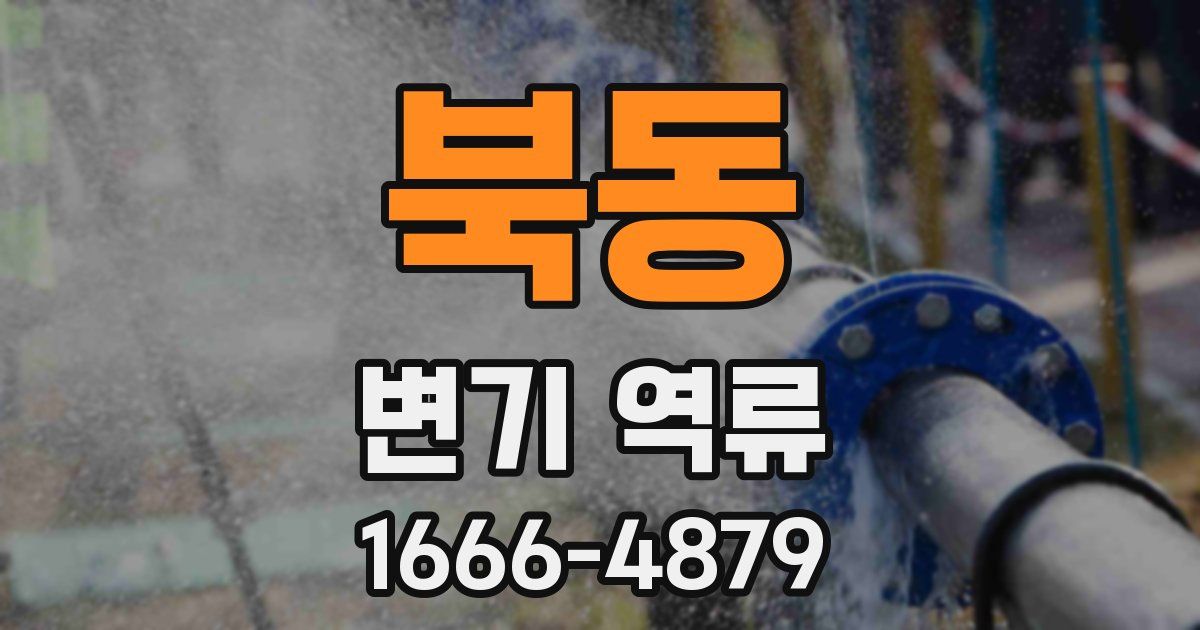 북동 변기 역류