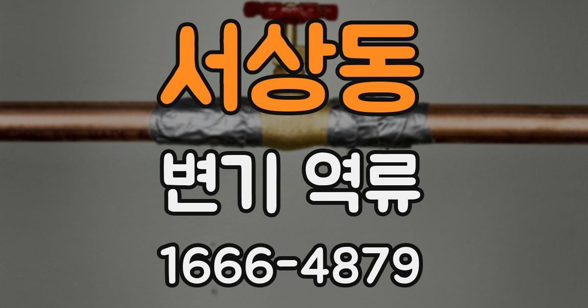 서상동 변기 역류