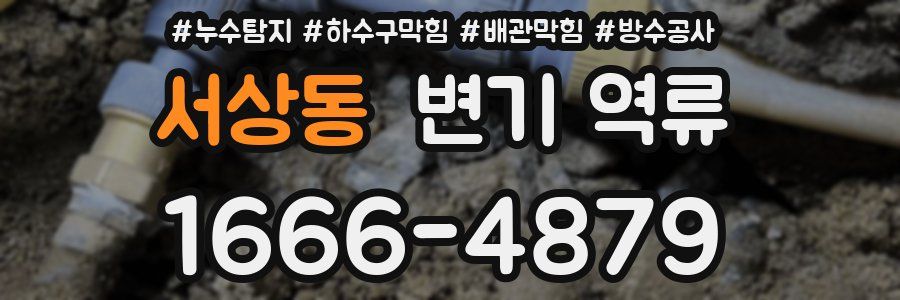 서상동 변기 역류