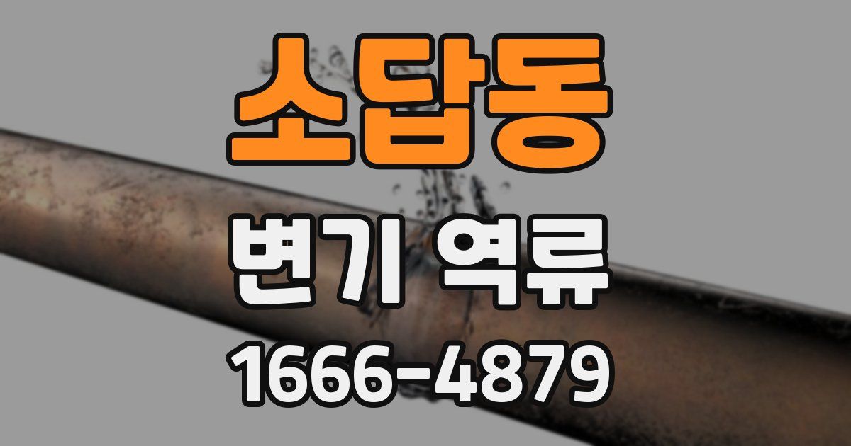 소답동 변기 역류