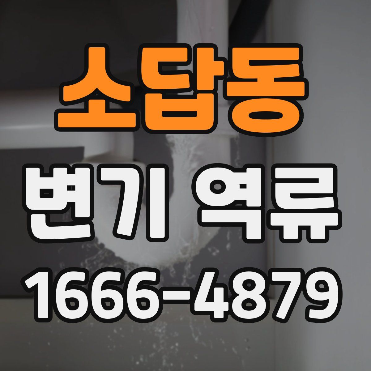 소답동 변기 역류