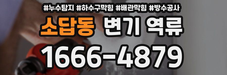 소답동 변기 역류