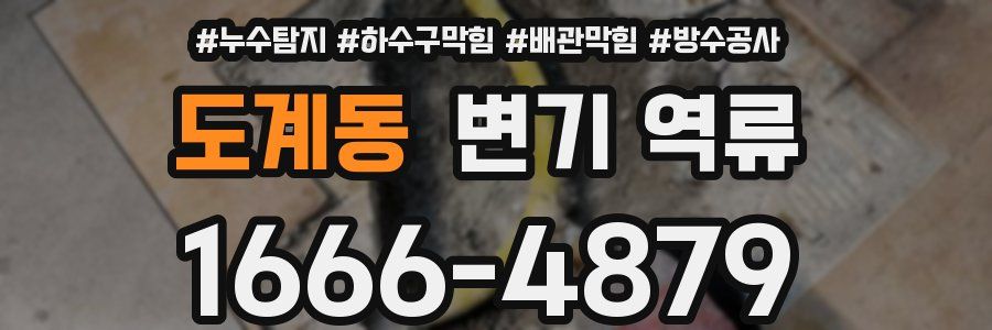 도계동 변기 역류