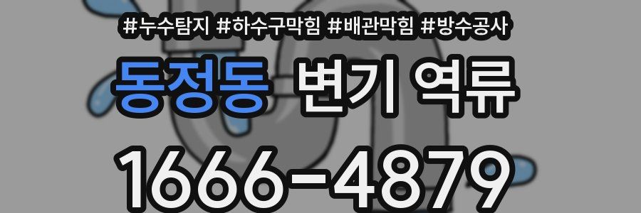 동정동 변기 역류