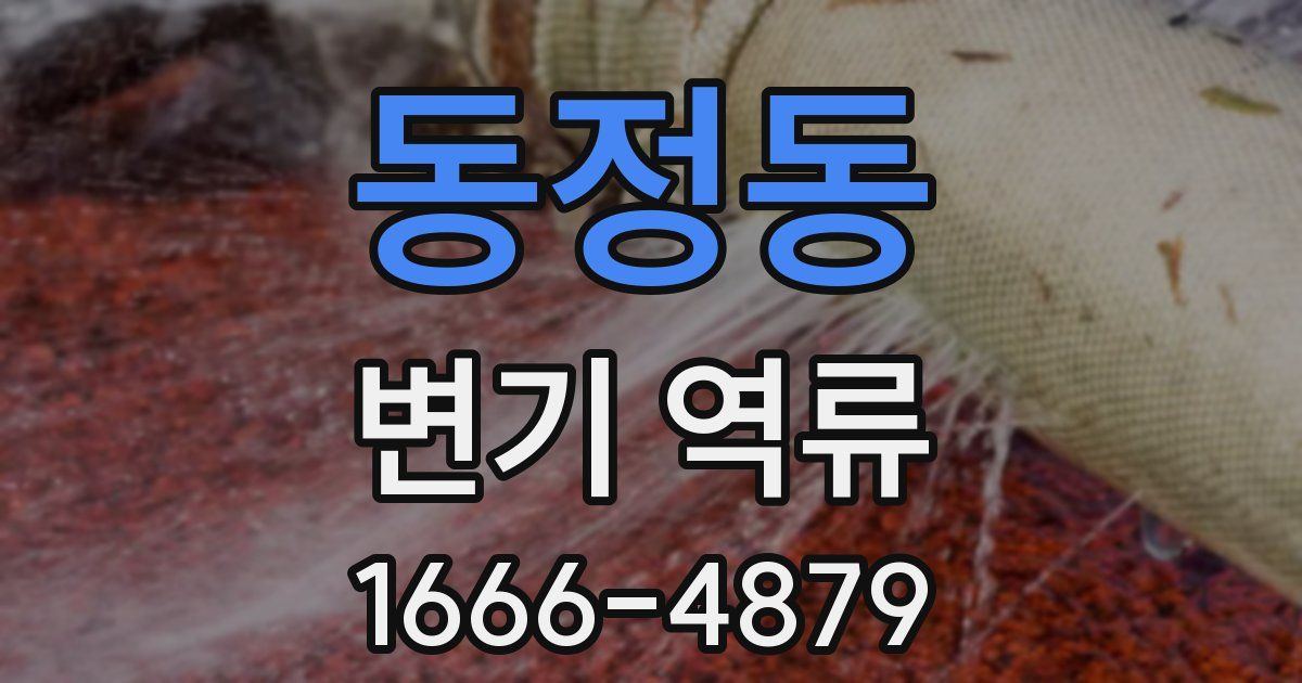 동정동 변기 역류