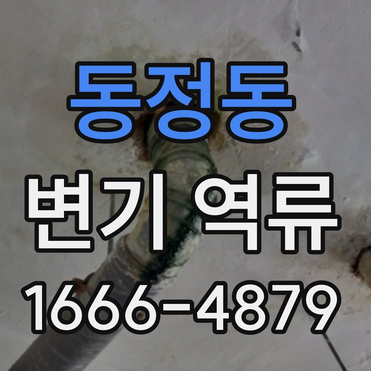 동정동 변기 역류