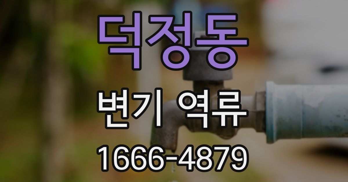 덕정동 변기 역류