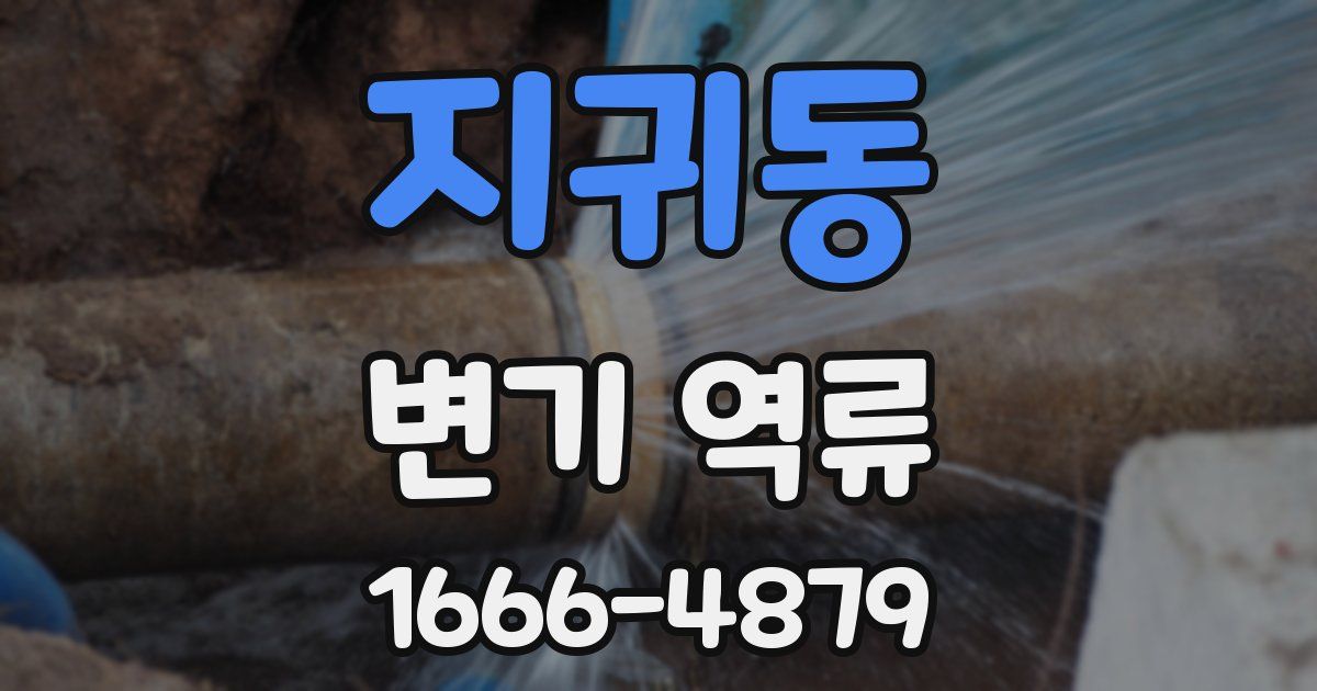 지귀동 변기 역류