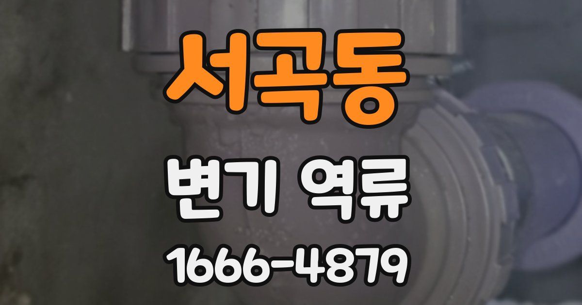 서곡동 변기 역류