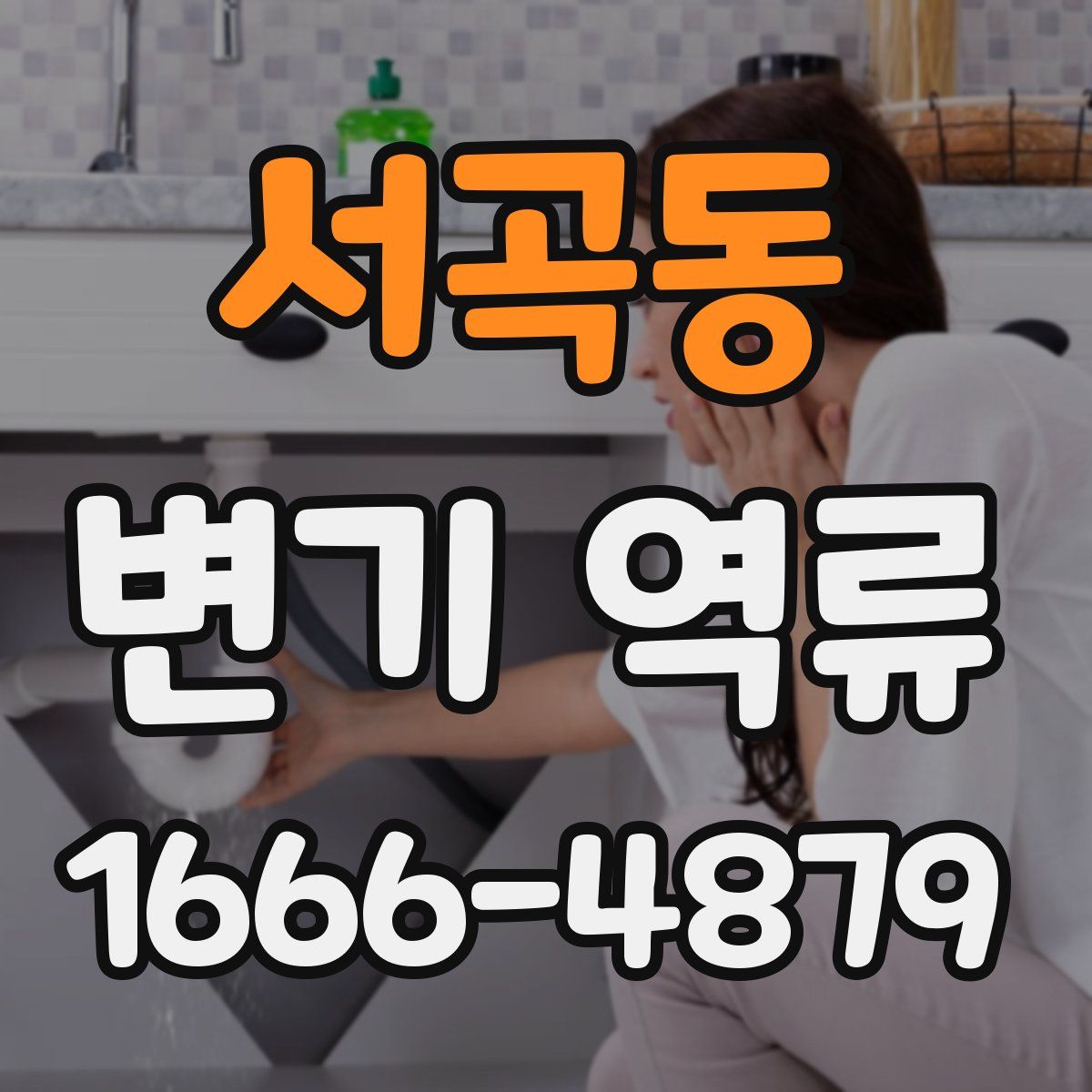 서곡동 변기 역류
