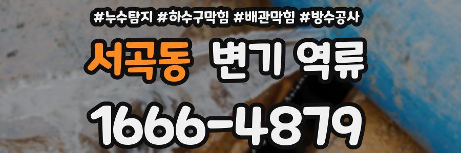 서곡동 변기 역류