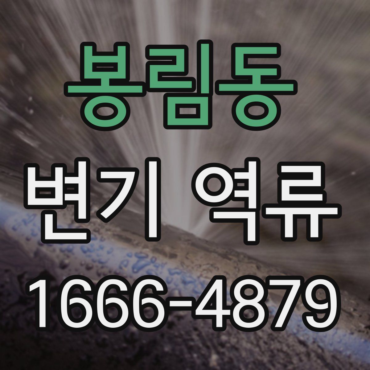 봉림동 변기 역류