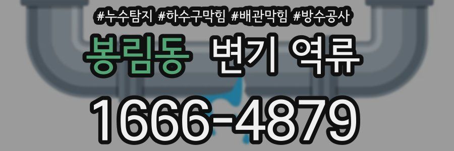 봉림동 변기 역류