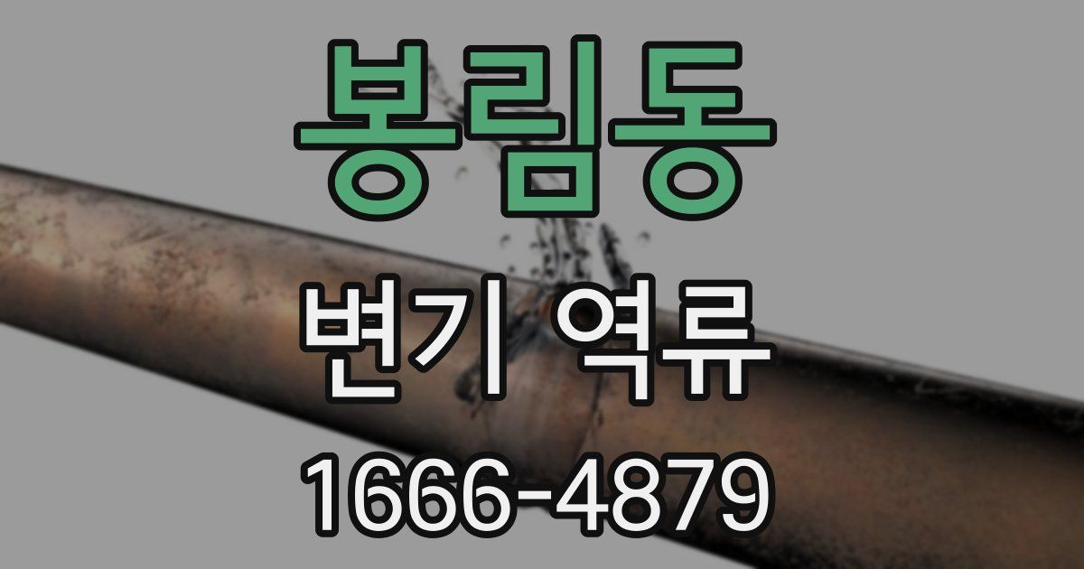 봉림동 변기 역류