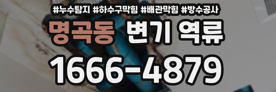 명곡동 변기 역류