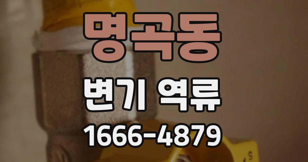 명곡동 변기 역류