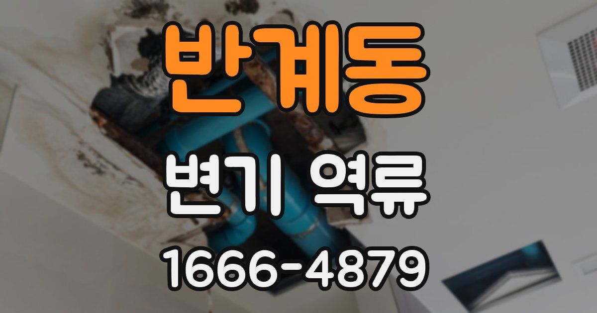 반계동 변기 역류