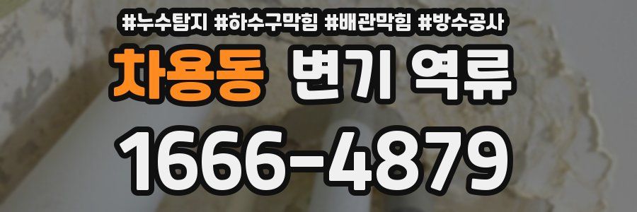 차용동 변기 역류