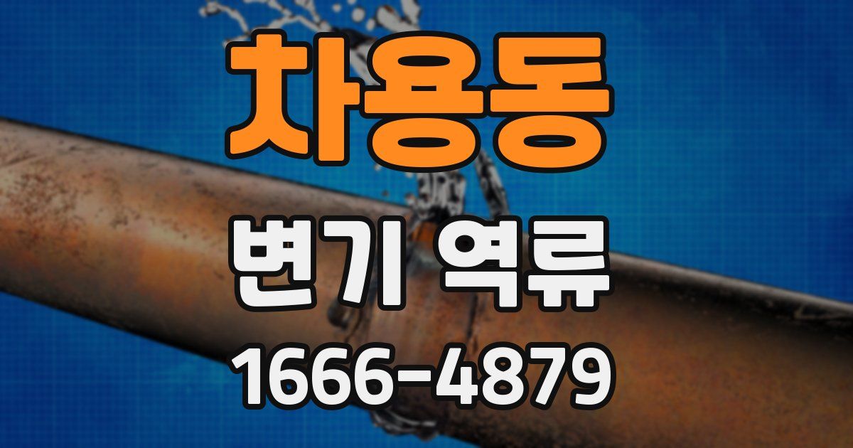 차용동 변기 역류