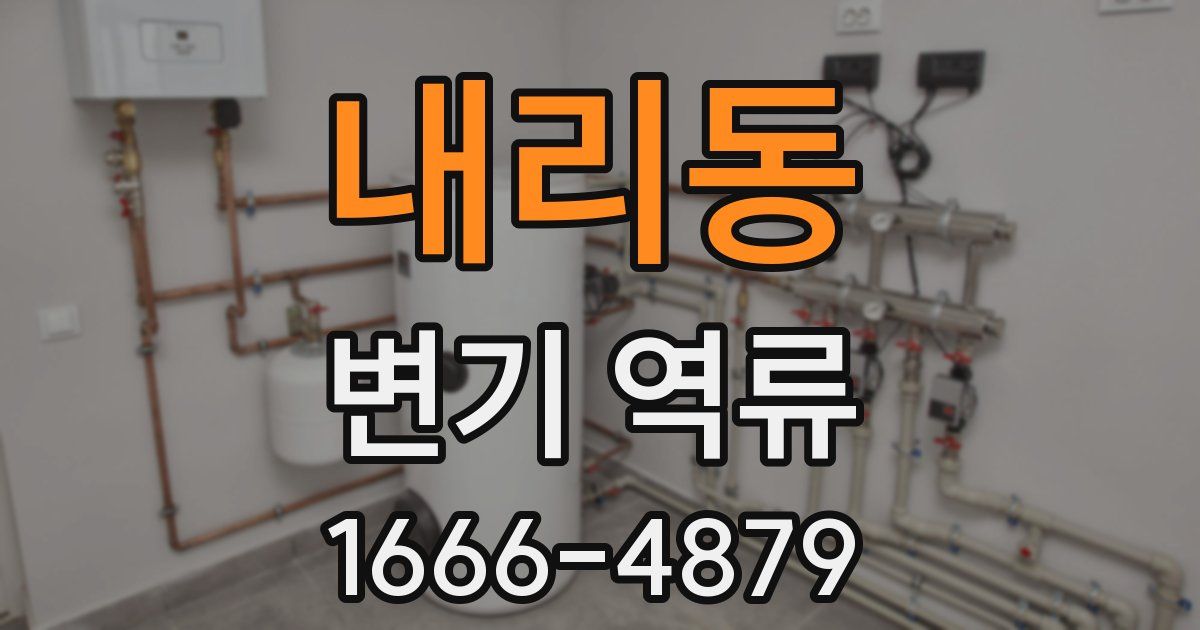 내리동 변기 역류