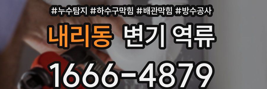 내리동 변기 역류