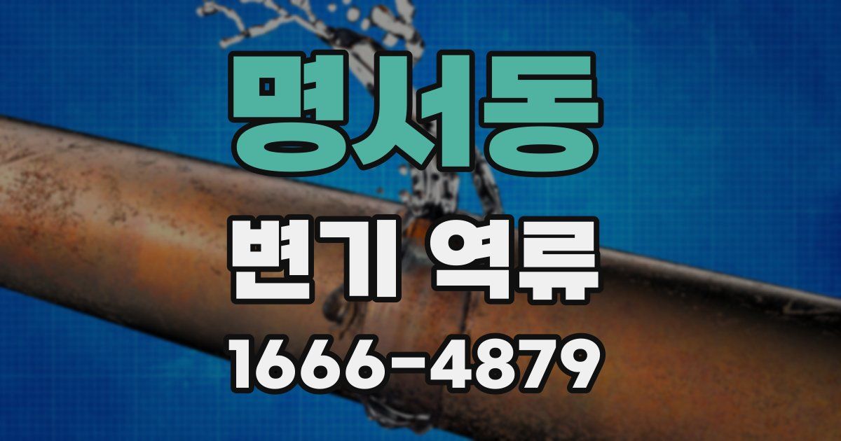 명서동 변기 역류