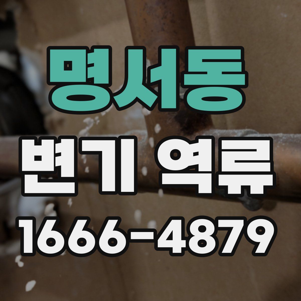 명서동 변기 역류