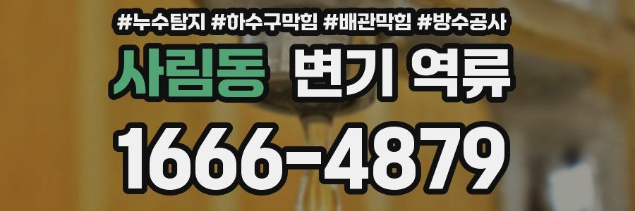 사림동 변기 역류