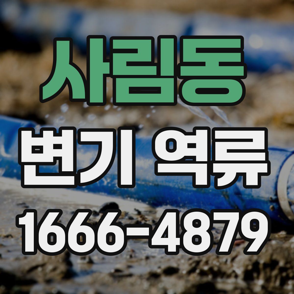 사림동 변기 역류