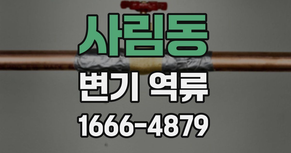 사림동 변기 역류