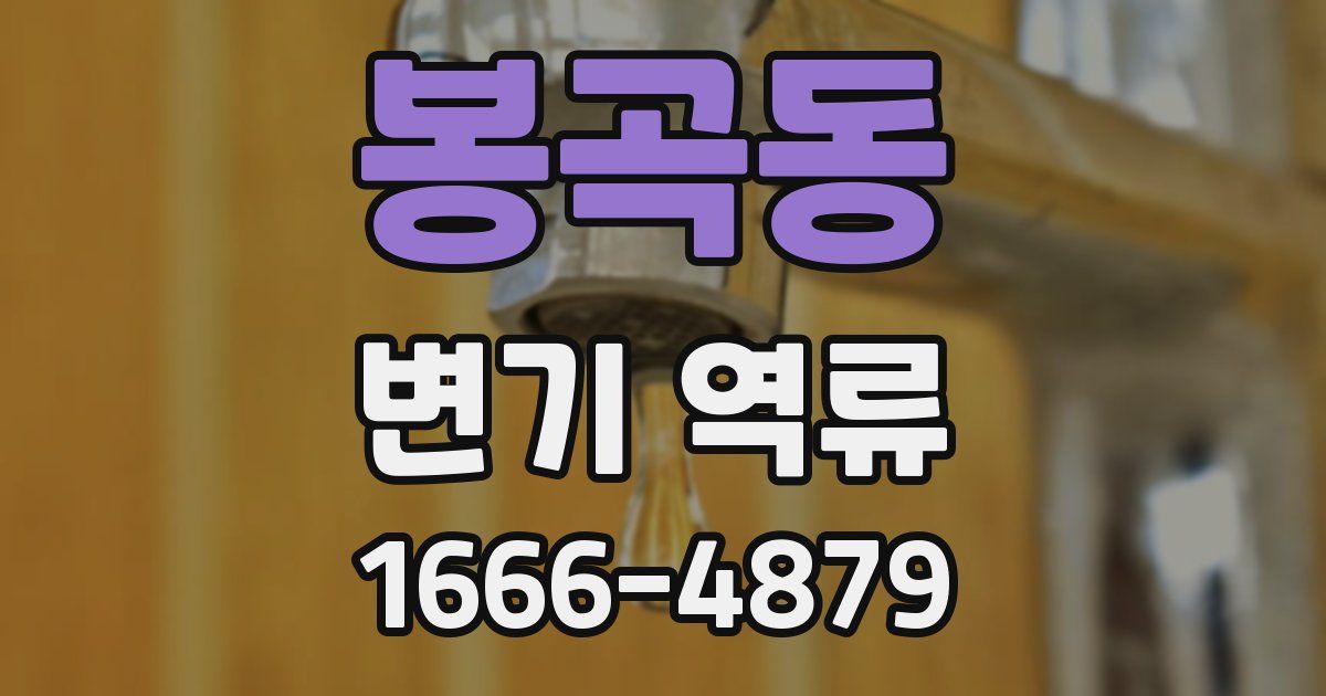 봉곡동 변기 역류