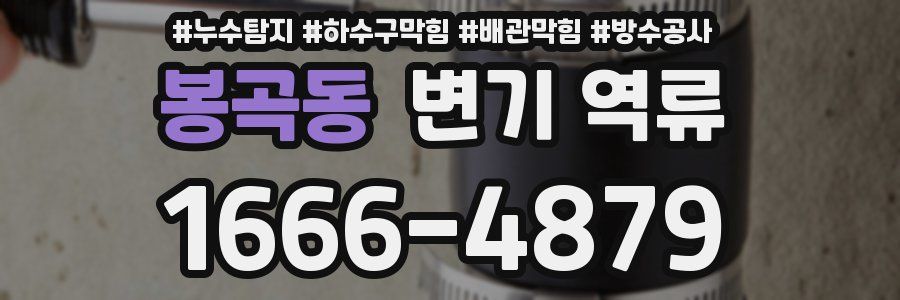 봉곡동 변기 역류