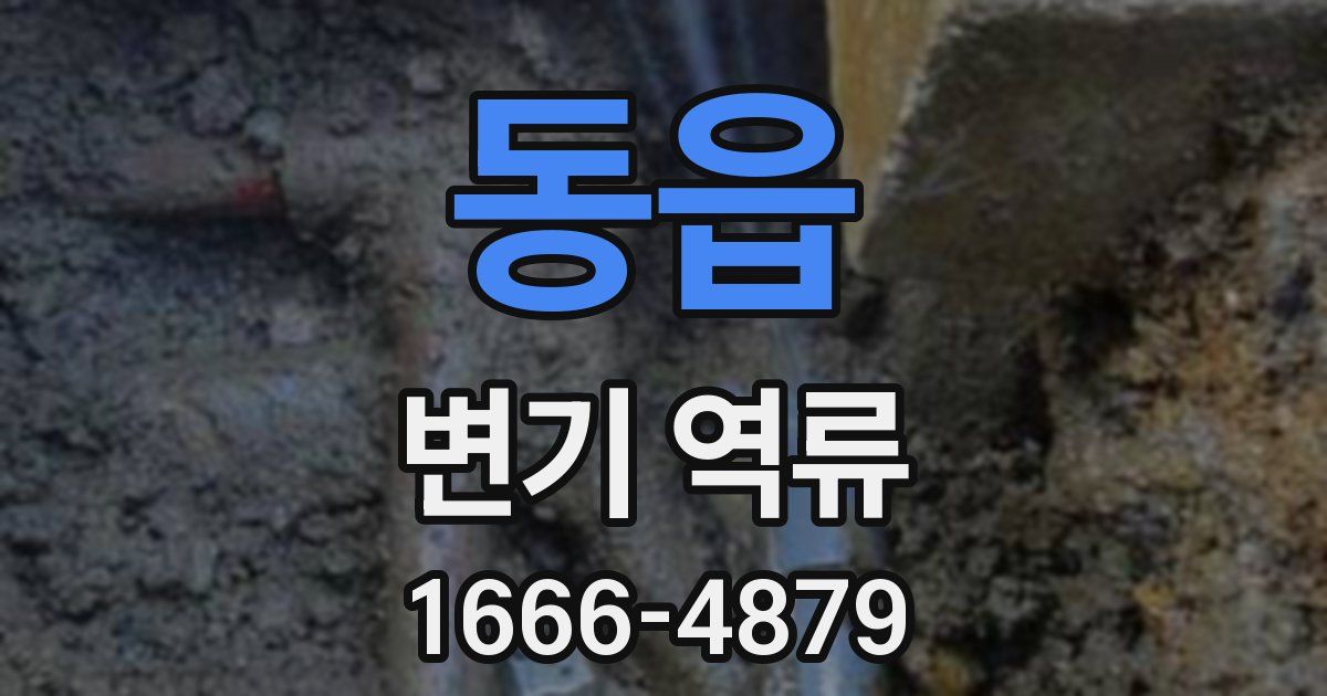 동읍 변기 역류