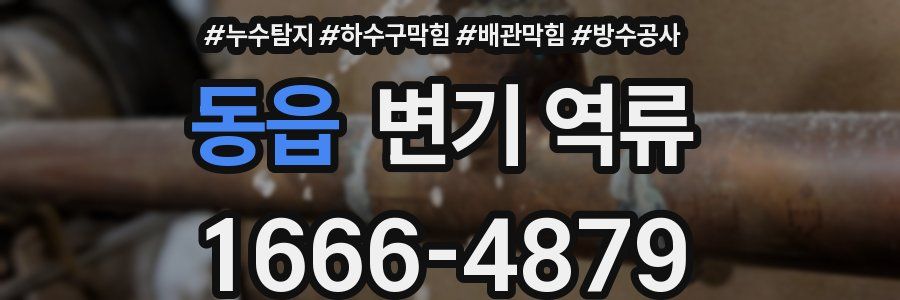 동읍 변기 역류